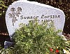 G 175.jpg G 175.jpg